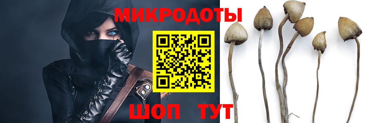 Алатырь  Псилоцибиновые грибы прущие грибы  продажа наркотиков  Вход с VPN 